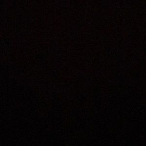 Meet your Posher, Dominick